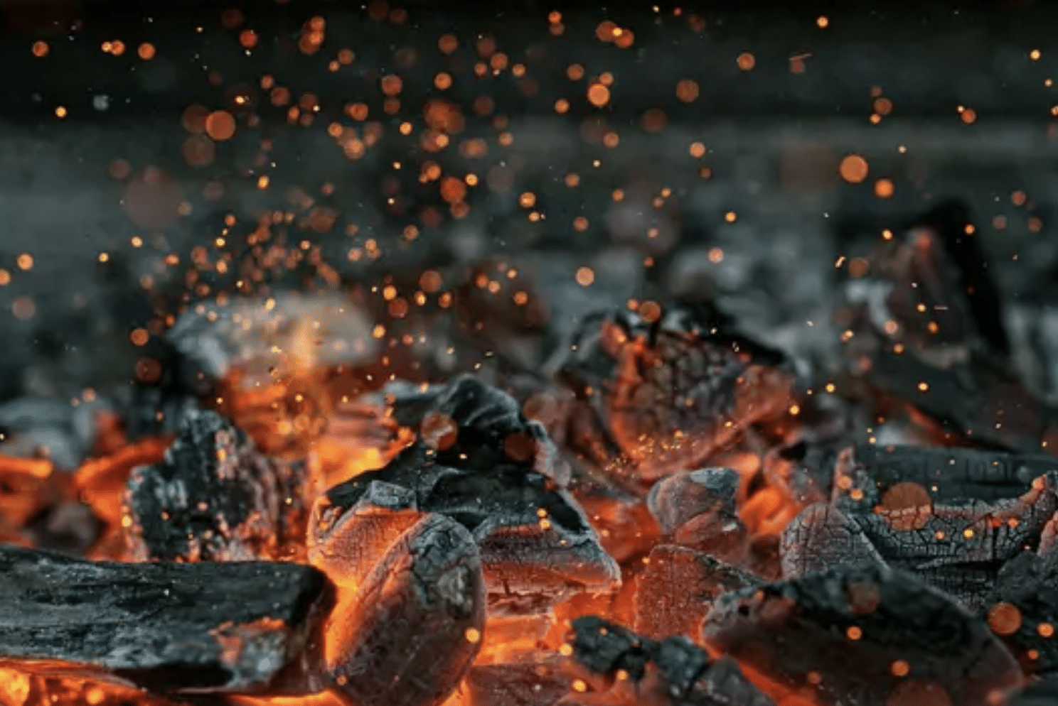 Hardwood charcoal
